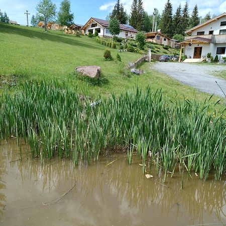 Pensiunea L`Amoro Neagra Sarului Exterior foto