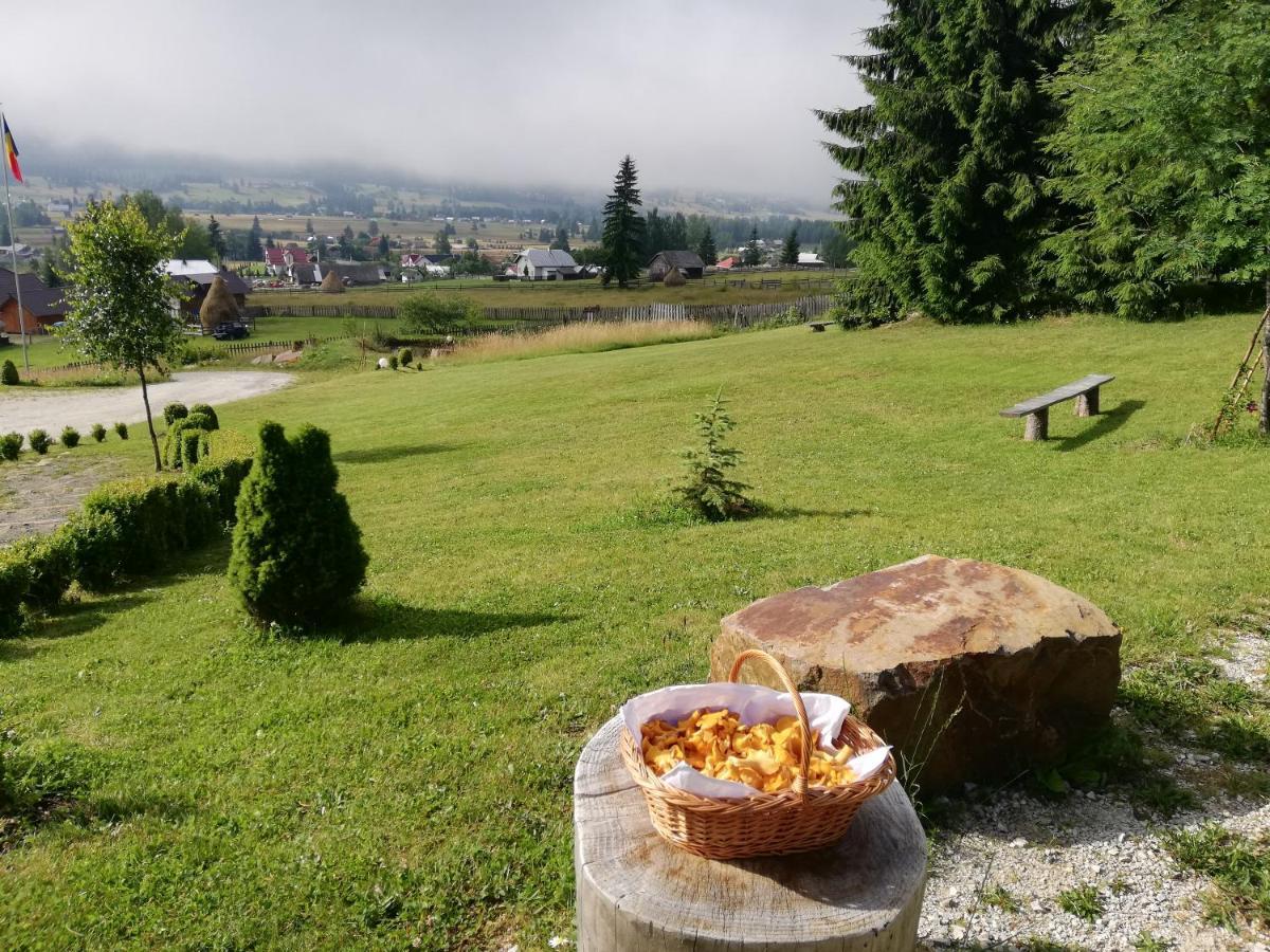 Pensiunea L`Amoro Neagra Sarului Exterior foto